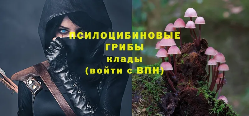 купить наркотик  Уварово  Галлюциногенные грибы Magic Shrooms 